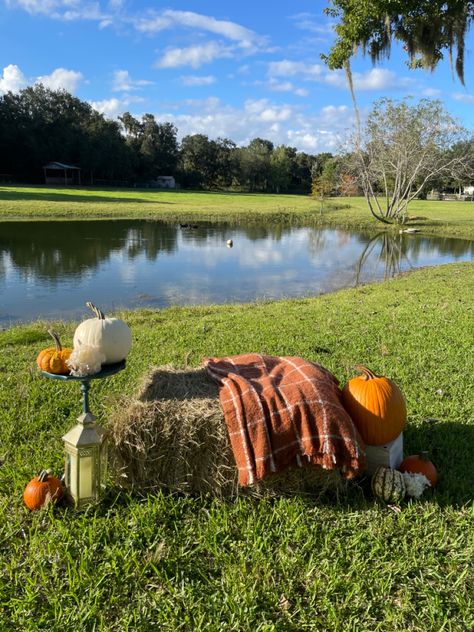 Diy Fall Photo Shoot, Fall Backdrop Ideas, Fall Photo Shoot Ideas, Fall Photo Props, Photo Shoot Backdrop, Shoot Backdrop, Fall Minis, Fall Backdrops, Fall Photo Shoot