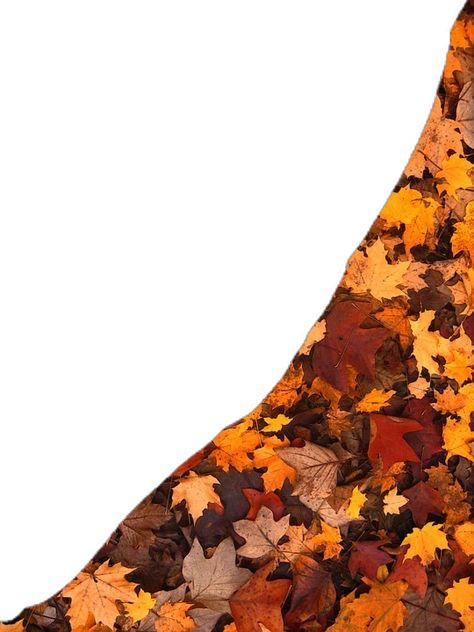 Autumn Leaves Cutouts, Journal Cutouts, Shuffle Cutouts, Autumn Journal, Autumn Collage, Fall Collage, Leaf Cutout, Vacation Memories, Fall Png