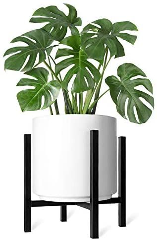 Amazon.com : Mkono Plant Stand - EXCLUDING Plant Pot, Mid Century Modern Tall Metal Pot Stand Indoor Flower Potted Plant Holder Plants Display Rack, Fits Up to 12 Inch Planter, Black : Garden & Outdoor Tall Potted Plants, Plants Display, Cozy Boho Living Room, Metal Flower Pots, Tall Plant Stands, Corner Plant, Plant Stands Outdoor, Indoor Flower Pots, Modern Plant Stand