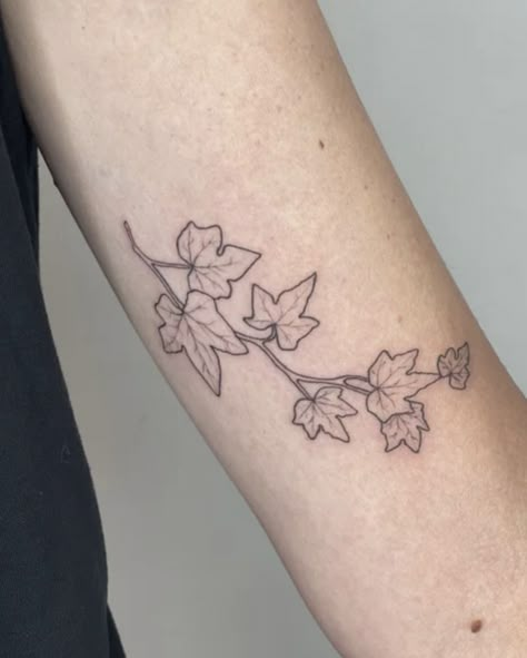 English Ivy Tattoo, Ivy Leaf Tattoo, Wine Tattoo, Ivy Tattoo, Tattoo Appointment, The Ivy League, Basic Tattoos, Wrap Tattoo, Flower Illustrations