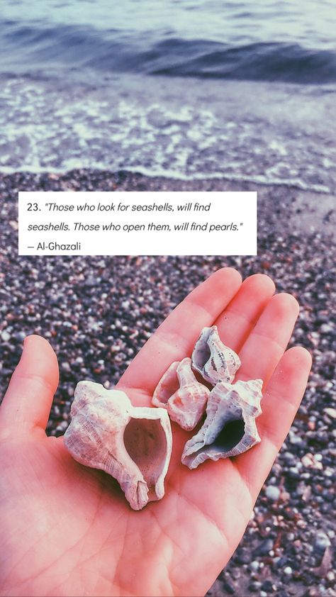 Seashell quote Shell Quotes Seashells Sayings, Quotes About Seashells, Shell Quotes Seashells, Shells Quotes, Seashell Quotes, Seashells Quote, Shell Quotes, Antique Quotes, Sand Quotes