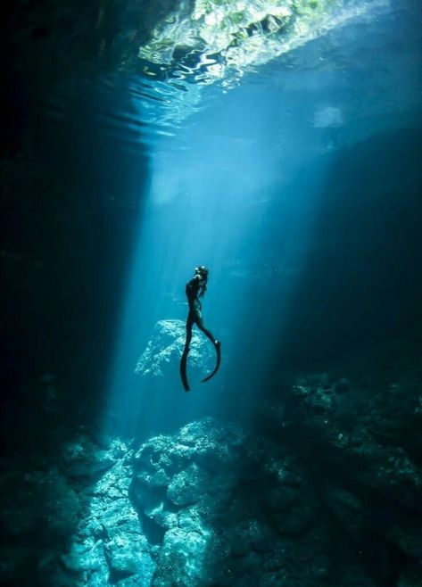 Snorkeling Pictures, Diving Course, Cave Diving, Scuba Diving Gear, Best Scuba Diving, Maui Vacation, Dream Photography, Open Ocean, Sailing Trips