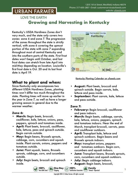 This guide provides key steps and information for everything you need to know about growing and harvesting in Kentucky.  https://files.ufseeds.com/uploads/Kentucky.pdf Best Plants To Grow In Kentucky, Gardening In Kentucky, Kentucky Gardening, Kentucky Homestead, Kentucky Garden, When To Transplant Seedlings, When To Plant Vegetable Garden, Vegetable Planting Calendar, Plant Vegetable Garden