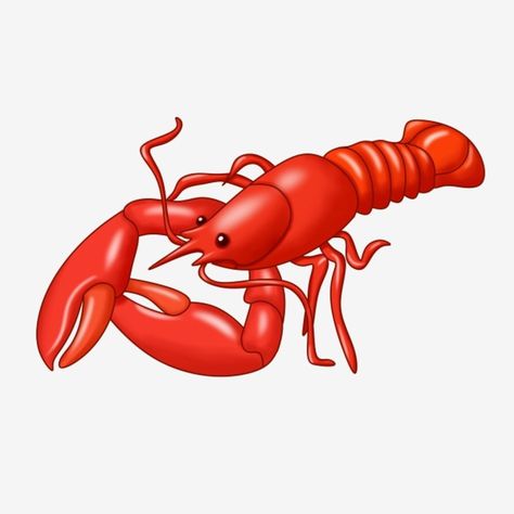 Lobster Clipart, Lobster Illustration, Gourmet Snacks, Map Pictures, Powerpoint Background, Powerpoint Background Design, Clipart Free, Red Lobster, Close Up Photography