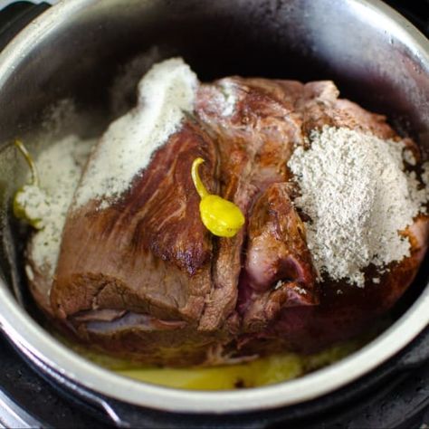 Backstrap In Crockpot, Crockpot Venison Backstrap Recipes, Venison Backstrap Crockpot, Crock Pot Venison Backstrap, Crockpot Backstrap Recipes, How To Cook Backstrap Deer, Back Strap Venison Recipe Crockpot, Deer Backstrap Recipes Crockpot, Venison Backstrap Recipes Crockpot