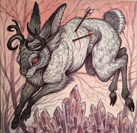 Caitlin Hackett Caitlin Hackett, Moon Bunny, Hare Art, Gold Frames, Rabbit Art, Desenho Tattoo, Bunny Art, Mystical Art, Old Paintings