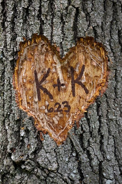 Our initials and wedding date carved into tree Initials In Tree Carved, Tree Carved Initials, Initials Carved In Tree Painting, Names Carved In Tree, Carving Initials In Tree, Name Carved In Tree, Tree Initials, Tree With Initials Drawing, Initials Carved In Tree