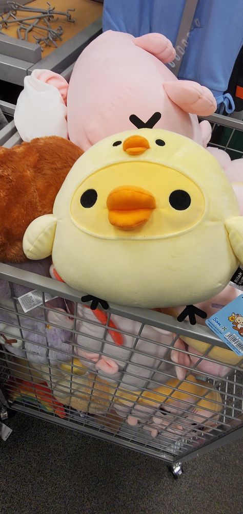 Duck in a duck hoodie plushie Duck Hoodie, Little Duck