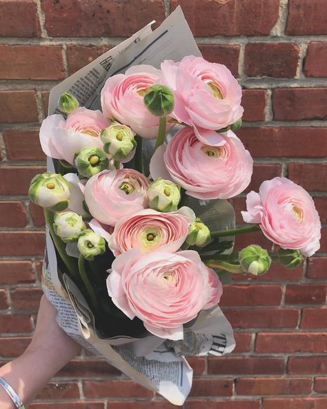 Papertini Event Design’s Instagram photo: “😍 hard to find words to describe how perfect these ranunculus are. thank you @cultivatingjoyflowers! #ranunculus #pink #floraldesign…” Ranunculus Pink, Ranunculus Bouquet, Words To Describe, Ranunculus, Hard To Find, Event Design, Floral Wreath, Floral Design, Thank You