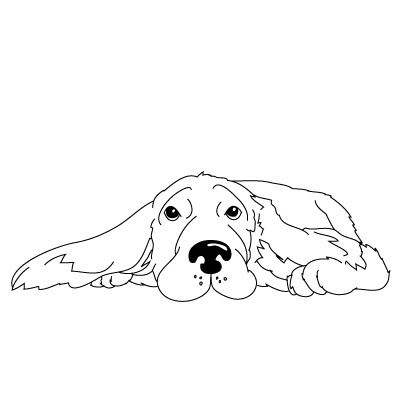 How to Draw a Cocker Spaniel | Fun Drawing Lessons for Kids & Adults Running Drawing, Art Videos For Kids, Spaniel Art, Drawing Lessons For Kids, Drawing Cartoon Characters, Animal Sketches, Learn How To Draw, Arte Animal, The Zoo