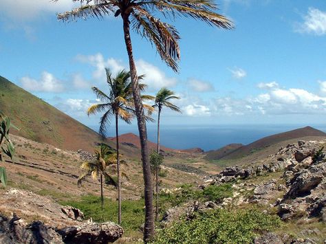 Saint Helena Island, Volcanic Island, Ascension Island, Norfolk Pine, Island Map, Remote Island, Tristan Da Cunha, St Helena, Green Mountain