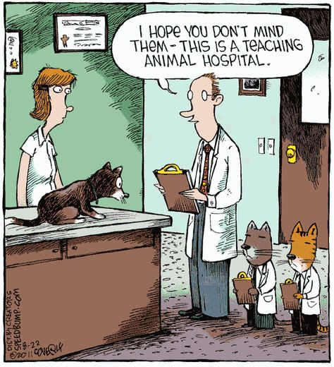 Quirky Drawings, Speed Bump Comic, Veterinary Humor, Dog Cartoons, Cat Cartoons, Dog Comics, Gary Larson, Dog Jokes, Dog Foods