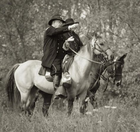 . A Horse, Cowboy Hats, Behind The Scenes, Tv Series, Cowboy, Horses, Animals