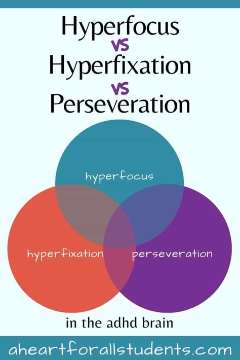 Hyper Focus, Life Encouragement, Brain Images, Hyper Fixation, Brain Structure, Homeschool Routine, Executive Functioning Skills, Parenting Tools, Sensory Issues