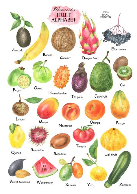 Watercolor Fruit Alphabet Clipart Fruits ABC Alphabet - Etsy Ukraine 50% OFF EVERYTHING! ✨  Limited-time SALE on all my Etsy art! Don't miss out, this steal won't last! . . . . . #exoticfruits #fruitposter #tropicalfruit #fruitart #kitchendecor #diningroomdecor #tropicaldecor #botanicalart #fruitlover #fruitprint  #fruitinspiration #fruitwallpaper Fruits Poster, Fruit Alphabet, Werewolf Cat, Food Lettering, Fruit Poster, Fruit Clipart, Wild Animals Pictures, Watercolor Fruit, Types Of Vegetables