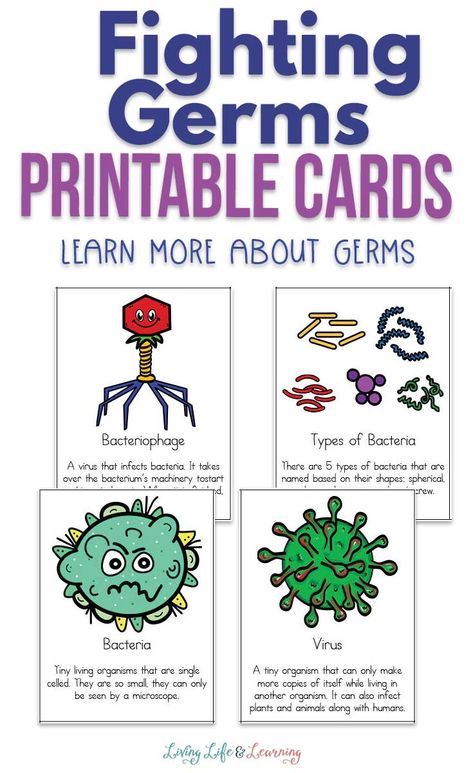 Nobody likes to get sick. So teach your kids about what germs are and how we should be fighting germs with these fun printable cards!  #healthykids #preventsickness #germsforkids #fightinggerms #freeprintable #sciencegames #healthscienceforkids #hygieneforkids #homeschoolhealth #homeschoolscience #livinglifeandlearning Germs Printable, Germs For Kids, Germ Crafts, Germs Preschool, Germs Lessons, Germs Activities, Perfect Health, Health Ideas, Life Learning