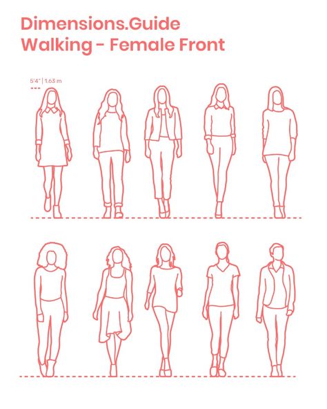 Assortment of women walking in front profile with various postures and clothing styles. This group of females has an average height set at 5’4” | 1.63 m. Outlined and detailed silhouettes are available. Downloads online #humans #people #women #females #walking Posture Drawing, Women Standing, Front Profile, Human Figure Sketches, Average Height, Sketches Of People, Human Drawing, Figure Sketching, Painting People