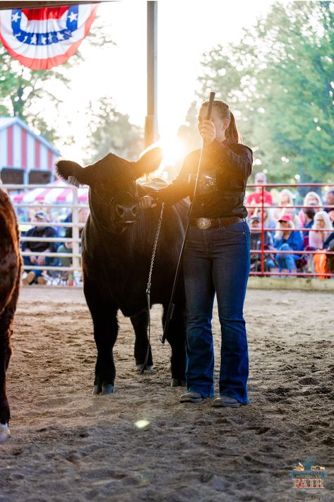 Showing Steers, Livestock Pictures, Cattle Showing, Livestock Quotes, Fair Girls, Livestock Showing, Dream Boards, Show Steers, Show Cows