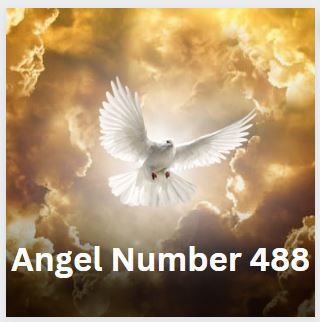 Angel Number Love, Twin Flame Reunion, Angel Number Meaning, Twin Souls, Angel Number Meanings, Souls Journey, Soul Connection, Number Meanings, Your Guardian Angel