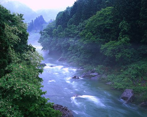 The Shinano River is the longest river in Japan, Natural Resource Management, Japan Landscape, Columbia River Gorge, Living Water, Time Life, The Kingdom Of God, Natural Resources, Landscape Wallpaper, West Virginia