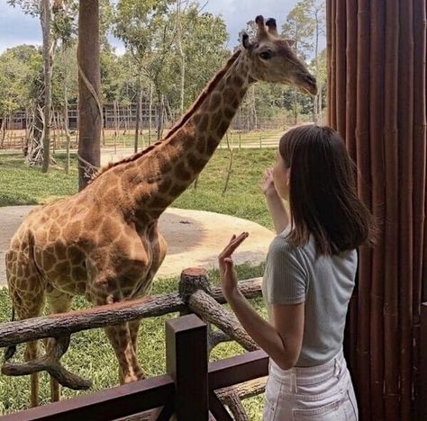 Zoo Date, Zoo Outfit, Zoo Pictures, Denver Zoo, Zoo Photos, Zoo Keeper, Vision Board Photos, Cute Date Ideas, In The Zoo