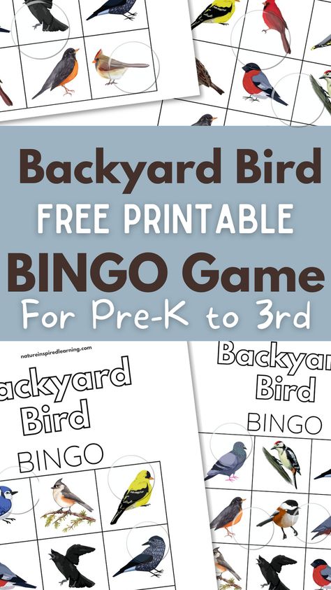 PDF downloadable backyard bird bingo game for young kids! Practice identifying common backyard birds with this printable game. Birds Kindergarten Activities, Bird Bingo, Birds For Kids, Bingo Games For Kids, Elementary Science Activities, Printable Bingo Games, Bingo For Kids, Games To Play With Kids, Nature School