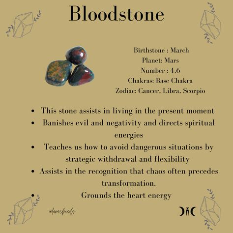 Bloodstone Crystal Aesthetic, African Bloodstone Crystal Meaning, Dragon Stone Crystal Meaning, Green Goldstone Crystal Meaning, African Bloodstone Meaning, Protection Stones From Evil, Dragon Bloodstone Meaning, Tuesday Crystals, Bloodstone Crystal Meaning