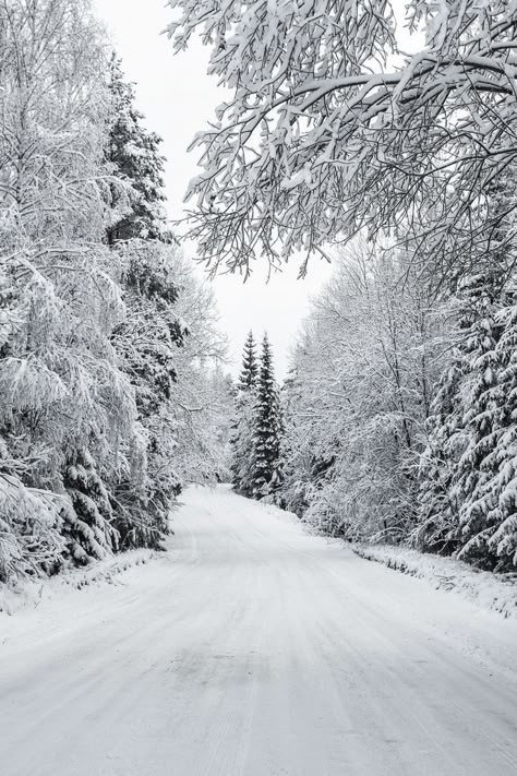 Background Snow Winter, White Winter Background, White Snow Background, Images Of Winter, Winter Road Trip, Snow Background, Winter Lovers, Winter Road, Winter Whites