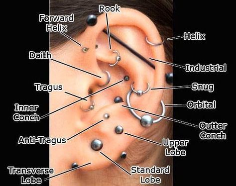 Piercing Types and 80 Ideas On How to Wear Ear Piercings #piercings #earpiercings #accessories Ear Piercing Diagram, Piercings Corps, Piercing No Lóbulo, Daith Piercing Migraine, Ušný Piercing, Orr Piercing, Ear Piercings Chart, Piercing Chart, Types Of Ear Piercings