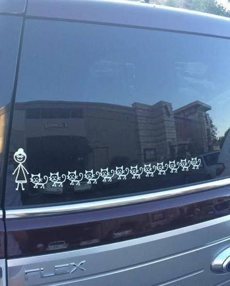 Bumper Stickers Aesthetic, Bumper Sticker Aesthetic, Aesthetic Cat Tree, Cute Cats Aesthetic, Love Ly, Cute Cat Photos, Hippie Car, Cat Profile, Car Deco