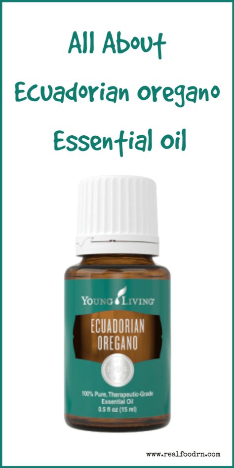 Ecuadorian Oregano is not technically oregano, but is named such because of its softly herbaceous, oregano-like scent. This naturally pure essential oil offers a cleansing, invigorating aroma, and pairs perfectly with a relaxing massage for overworked muscles. #ecuadorianoregano #essentialoils #youngliving Oregano Essential Oil, Essential Oil Combinations, Thieves Essential Oil, Pain Relief Cream, South American, Pure Essential Oils, Kitchen Recipes, Real Food, Young Living