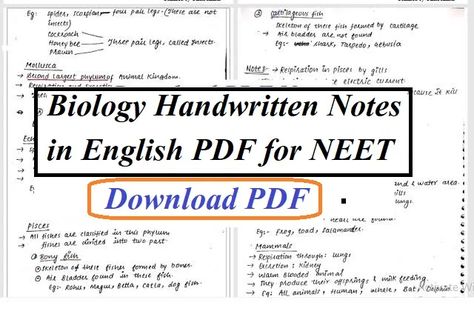 Class 12 Biology Notes, Class 11 Biology Notes, Cell Biology Notes, Notes In English, Biology Class 11, Neet Biology, Exocrine Gland, Neet Notes, Biology Revision