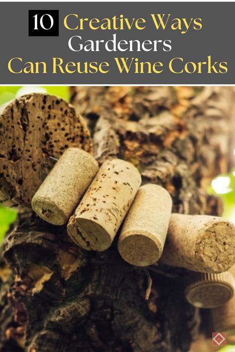 Explore 10 innovative ways to reuse wine corks in your garden! 🍷 Create plant labels, garden paths, and even mini planters using these versatile and sustainable materials. Learn how to incorporate wine corks into your gardening projects, adding functionality and charm to your outdoor space. Ideal for eco-conscious gardeners seeking creative inspiration. #Gardening #WineCorks #DIYGarden Wine Cork Bird Feeder, Repurpose Wine Corks, Cork Garden Ideas, Bottle Cork Ideas, What To Do With Wine Corks, Wine Cork Birdhouse, Seed Starting Containers, Wine Corks Crafts, Cork Planters