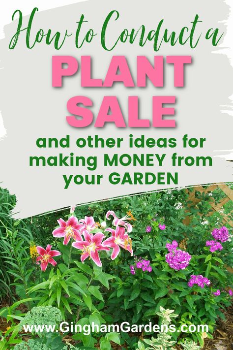 Sell Flowers, Wholesale Plant Nursery, Wholesale Plants, Plant Signs, Vegetable Plants, Backyard Plants, Invasive Plants, Best Plants, Plant Tags