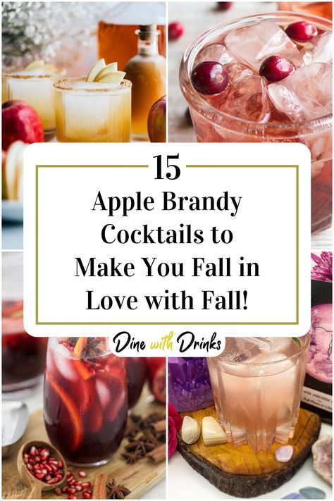 Collage of 4 apple brandy cocktails. Apple Brandy Drinks, Apple Brandy Cocktail Recipes, Apple Cider Brandy Cocktail, Apple Brandy Sangria, Brandy Sangria, Washington Apple Drink, Burbon Drinks, Brandy Cocktail Recipes, Apple Brandy Cocktail