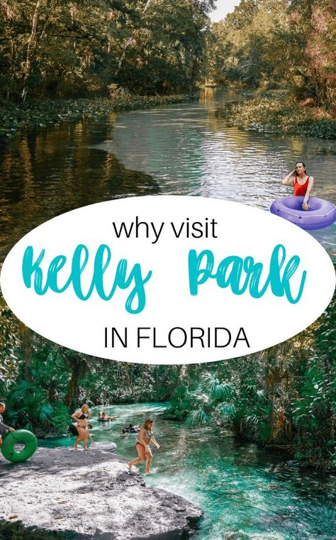 Kelly Park Florida, Rock Springs Florida, Ginnie Springs, American Roadtrip, Florida Vacation Spots, Kelly Park, Florida Travel Destinations, Florida Getaway, Florida Parks