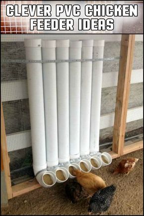 Chicken Feeder Ideas, Pvc Chicken Feeder, Reban Ayam, Chicken Feeder Diy, Cute Chicken Coops, Easy Chicken Coop, Chicken Coop Garden, Backyard Chicken Coop Plans, Diy Chicken Coop Plans