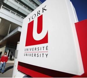 York University student's request not to work with women stirs controversy. School Department, Study In Canada, International Scholarships, Academic Calendar, Grad Student, York University, Open Letter, Group Work, Skills To Learn