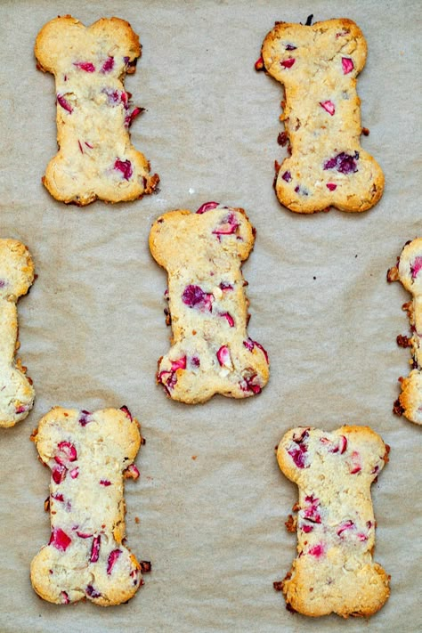 Cranberry Dog Treats -- When you're putting together your cookie plates this holiday season, don't forget about the pups in your life! Bake these easy-to-make Cranberry Dog Treats and gift them to your own pup or the dogs of your family and friends. Pumpkin Cranberry Dog Treats, Cranberry Dog Treats Recipes, Dog Christmas Treats, Dog Christmas Cookies, Dog Treat Display, Cranberry Dog Treats, Thanksgiving Dog Treats, Cranberry Treats, Christmas Dog Treats