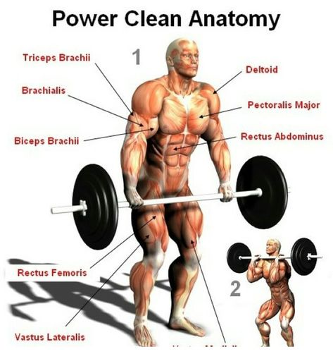 Power Clean. Power Clean Workout, Olympic Weightlifting Workouts, Olympic Lifts, Craig Morgan, Power Lifting, Health And Physical Education, Crossfit Women, Power Training, Weight Lifting Workouts