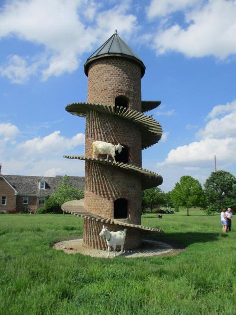 Goat Ideas, Goat Playground, Goat Toys, Feral Cat House, Goat House, Medieval Tower, Backyard Buildings, University Of Connecticut, Concrete Steps