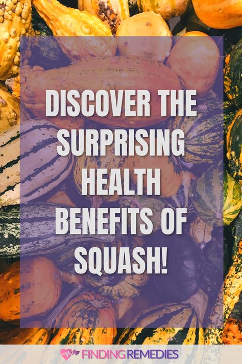 Discover the Surprising Health Benefits of Squash! Acorn Squash Health Benefits, Squash Benefits Health, Benefits Of Squash, Squash Benefits, Better 2024, Types Of Squash, Butternut Squash Benefits, Carnival Squash, Low Calorie Vegetables