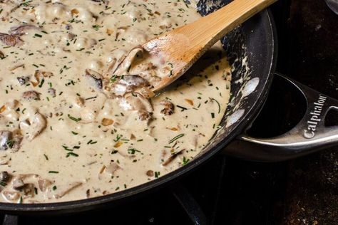 Rosemary Cream Sauce, Steak Cream Sauce, Steak Tenderloin, Deer Steak Recipes, Steak And Whiskey, Rosemary Mushrooms, Rosemary Sauce, Elk Steak, Mushroom Sauce Steak