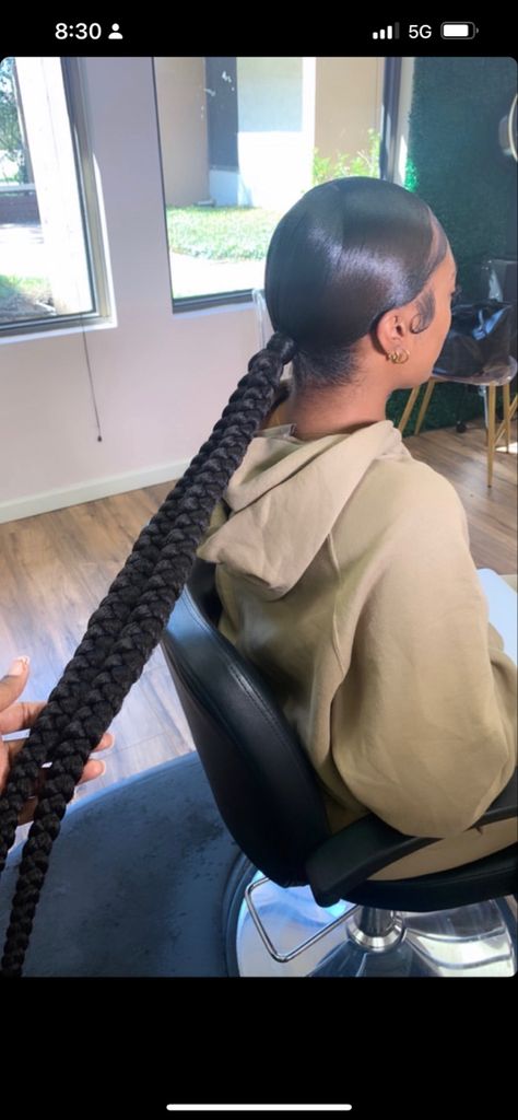 #twobraids #middlepart #blackgirl Braided Pony, 2 Braids, Twist Braid, Double Braid, Small Braids, Twist Braid Hairstyles, Two Braids, Dread Hairstyles, Braids For Black