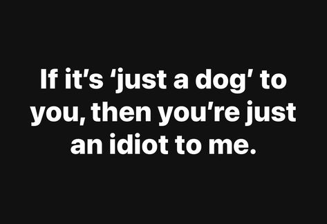 My Puppy Quotes, Dog Quotes Funny Hilarious, Crazy Dog Lady Quotes, Dog Mom Quotes, Dog Quotes Funny, Crazy Dog Lady, Funny Mom Quotes, Dog Info, Perfection Quotes