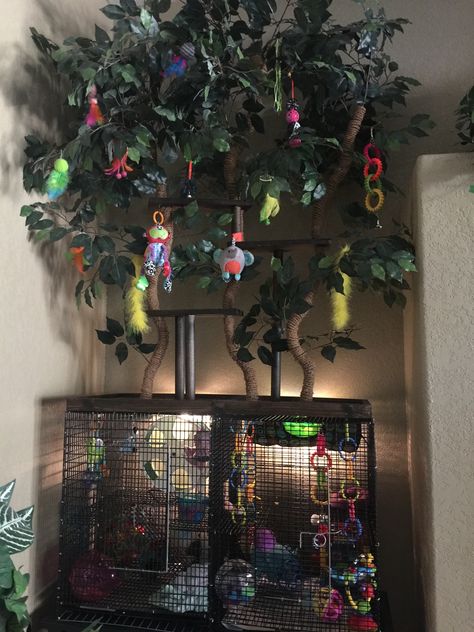 Conure Playground Diy, Bird Rooms Ideas, Sugar Glider Toys Diy, Diy Sugar Glider Toys, Conure Cage Setup, Diy Sugar Glider Cage, Sugar Glider Cage Ideas, Sugar Glider Habitat, Bird Cage Ideas