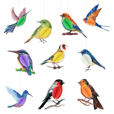 Bird Party Decorations, Jungle Theme Decorations, Rainforest Birds, Rainforest Theme, Bird Birthday Parties, Luau Party Supplies, Home Classroom, Paper Cutouts, Bird Party