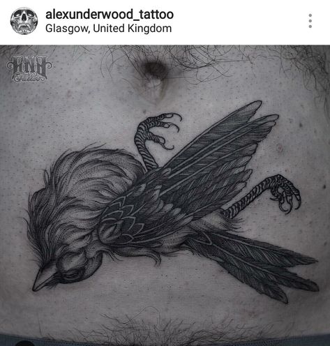 Dead Animal Tattoo, Dead Bird Tattoo, Icarus Tattoo, Dead Bird, Tattoo Apprenticeship, Raven Bird, Crow Tattoo, Raven Tattoo, Tattoo Portfolio