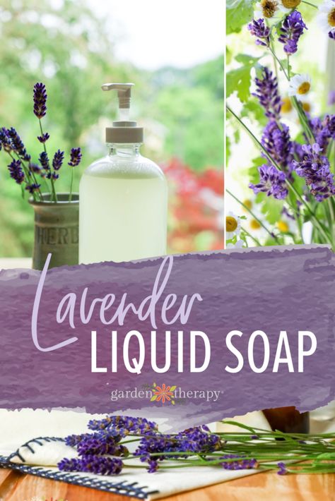 Lavender helps to cleanse, reduce inflammation, and ease pain all while making your skin smell absolutely wonderful. Whip up a batch of this lavender liquid soap today! #flowers #lavender #greencleaning #natural #greenliving #soap #soapmaking #handsoap #recipe Liquid Soap Recipe, Herbal Bath Recipes, Diy Natural Beauty Recipes, Lavender Hand Soap, Diy Hand Soap, Natural Skincare Recipes, Handmade Soap Recipes, Garden Therapy, Liquid Castile Soap