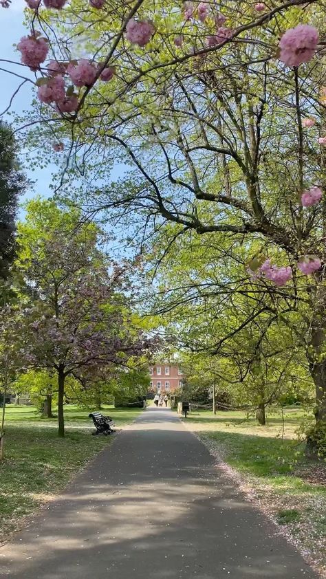 visitgreenwich on Instagram: Making the most of the Blossom in Greenwich Park for #EarthDay 🌸 #ItsGreenwichTime #VisitGreenwich #Greenwich #LetsDoLondon… Profile Banner, Poetry Design, Discord Profile, Greenwich Park, Sculpture Park, April 22, Earth Day, Blossom, Country Roads